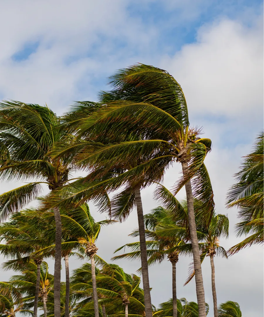 Windsafe Hurricane Protection